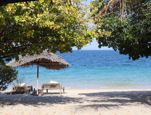 Safari to sea: Tanzania to Mozambique