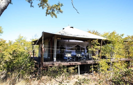 Camp Kuzuma tree house