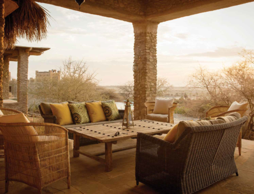 A slow-paced Safari in Tanzania